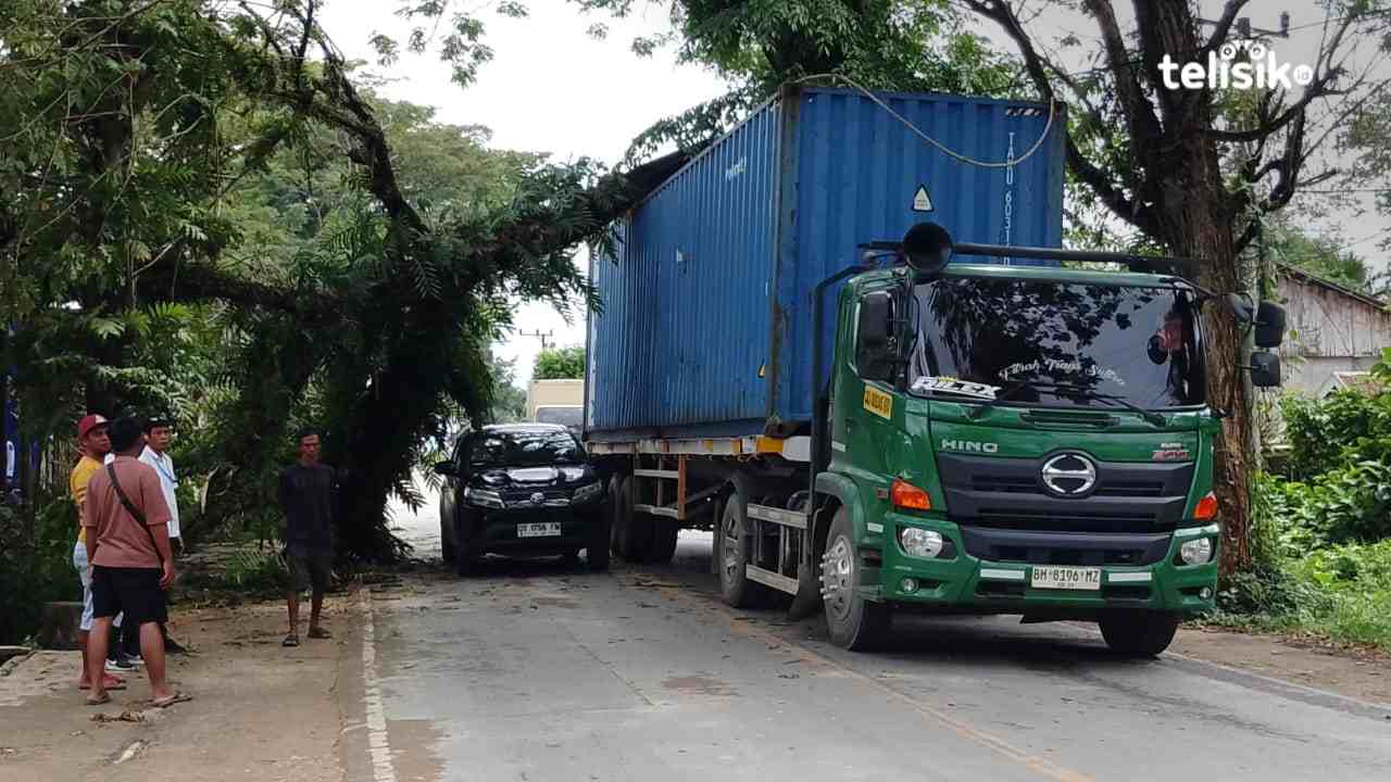 Truk kontainer tertimpa pohon yang ditabraknya di Jalan Suprapto, Kota Kendari, Rabu (29/4/2026). foto:Thamrin Dalby/Telisik