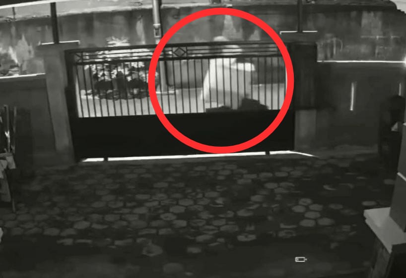 Video rekaman CCTV, terlihat pencuri sedang mengangkat mesin cuci. Foto: Screenshot video