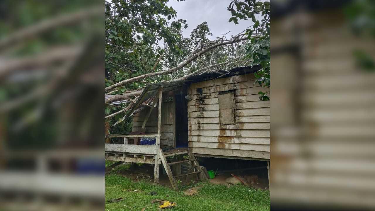 Kondisi rumah Wa Ahe di Desa Bakeramba, Kecamatan Kusambi, Kabupaten Muna Barat, yang tertimpa pohon tumbang akibat hujan deras disertai angin kencang, Minggu (10/5/2026) dini hari sekitar pukul 03:00 Wita.  Foto: lst.