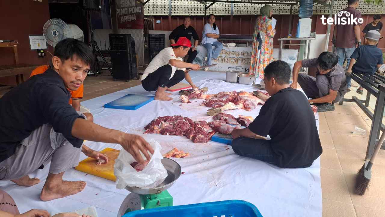 Proses pemotongan dan pembagian daging hewan kurban oleh karyawan Swiss-Belhotel Kendari pada Hari Raya Idul Adha, Rabu (27/5/2026). Foto: Erni Yanti/Telisik