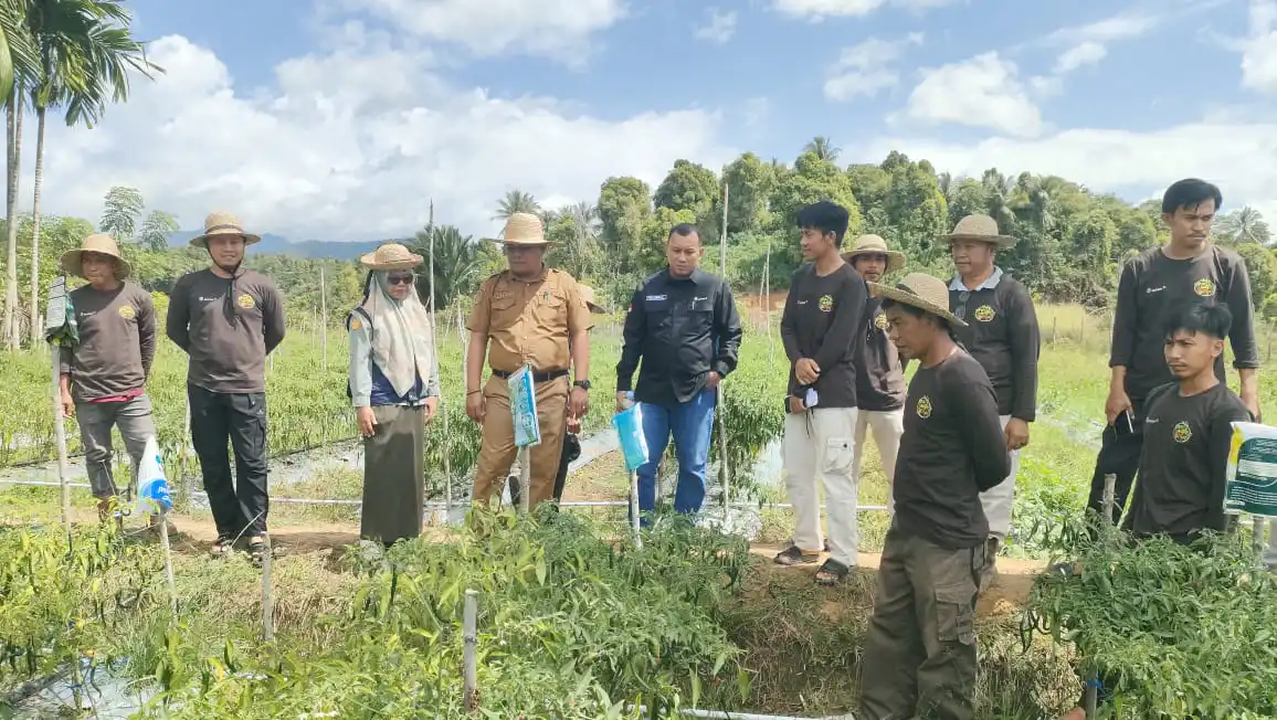 ANTAM dorong kemandirian pangan Desa Mowundo melalui pemanfaatan pekarangan rumah warga. Foto: Ist.