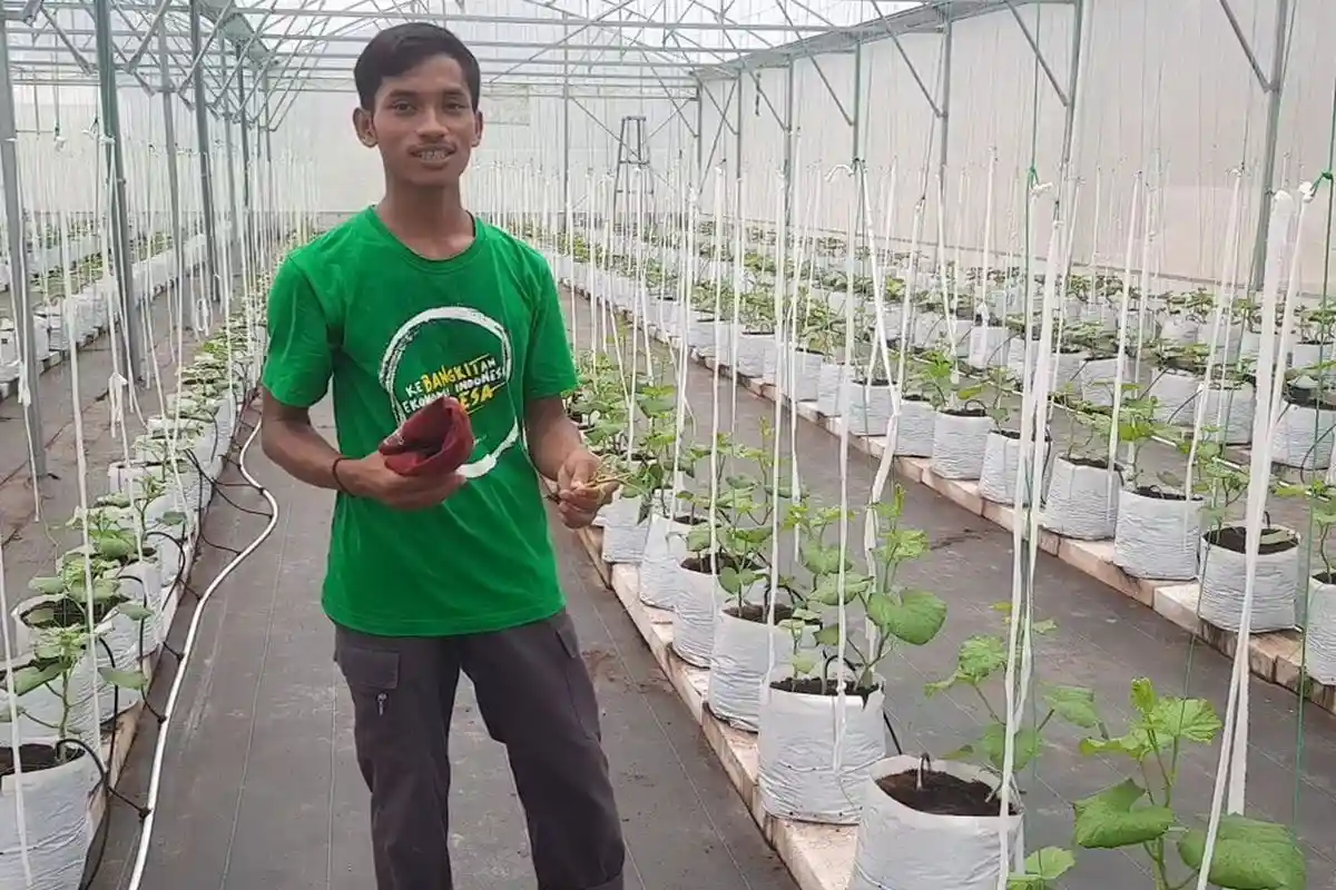 Aktivitas perawatan tanaman dilakukan di area kebun wisata. Foto: regional.kompas.com