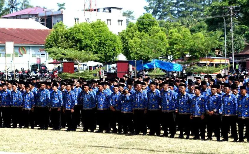 Perpanjangan kontrak PPPK 2026 segera diproses, pegawai wajib memastikan kelengkapan data sebelum batas waktu. Foto: Repro Pemkab Gayolues