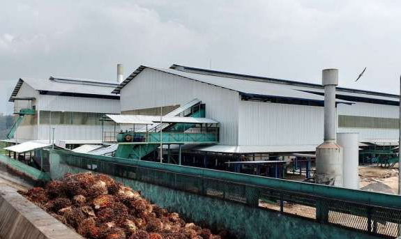 Pemerintah menyiapkan Icomex, bursa baru yang berpotensi memperdagangkan sawit, nikel dan batu bara nasional. Foto: Repro Kalteng Daily